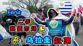 7.乌拉圭二手货跳蚤市场上集 Punta Del Este Uruguay 2019 劳拉LaraRen带你去赶集  中国人生活在南美洲真实的生活 热情的乌拉圭人 Fería