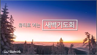 [ 수원은혜교회 ] 큐티로 여는 새벽기도회 _ 다윗의 승전가 (사무엘하 22:1-7)