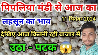 लहसून भाव आज का पिपलिया मंडी today garlic rate pipliya mandi