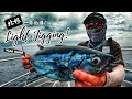 【FishingShare】北根一天的LIGHT JIGGING钓游！钓到超多鱼！体验连续上钩的乐趣| LIGHT JIGGING Fishing Adventure in PEKAN