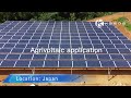 Agrivoltaic solar farm in Japan