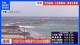 伊豆諸島で相次ぎ津波観測　八丈島で50センチ、神津島で20センチ、伊豆大島でも10センチ｜TBS NEWS DIG