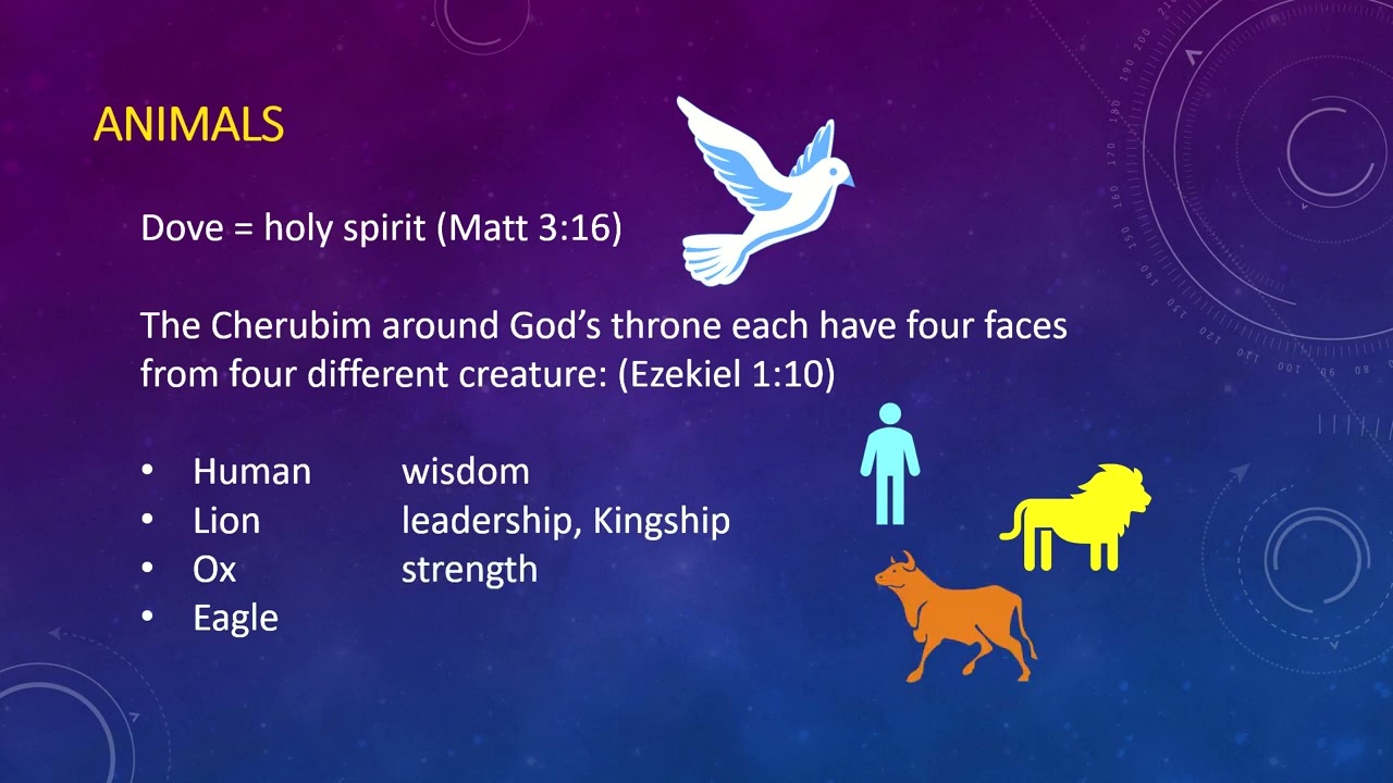 Prophecy Part 2: Symbol Vocabulary - YouTube