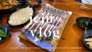 #vlog3| 제주도 여행 브이로그🌴| 새벽 제주도🌞, 감성 숙소에서 훌라추기🌺, 미영이네식당, 파스테이스, 서핑배우기 그리고... 추억만들기?!😮