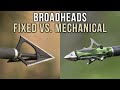 Fixed vs Mechanical Broadheads