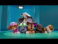 paw patrol air rescue adventures 🚁 120 minutes nick jr.