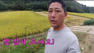 밥 많이 드세요!