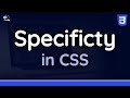 Understanding Specificity in CSS - Tutorial