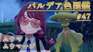 【パルデア色図鑑】全ポケモンを色違いにする旅 / ムウマ・ムウマージ編【ポケモンSV】