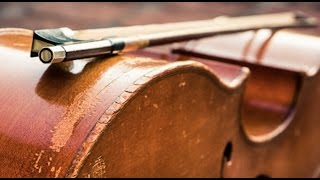 FREE Cello Sample Library - Review of PocketBlakus Cello