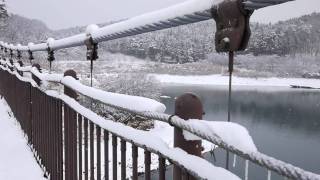 矢の目ダム　吊り橋