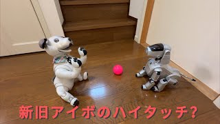 新・旧　AIBOのハイタッチ❗️#aibo #robot