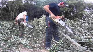 coupe de bois de chauffage