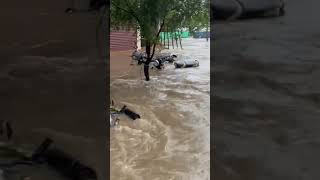 tirunelveli vannarpettai north bypass road surrounded by flood18.12.2023 #tirunelveliflood #rain