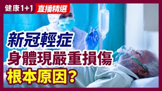 感染新冠時是輕症，身體卻出現長期深層損害，新冠病毒為什麽會給身體帶來長期嚴重損傷？ | 健康1+1 · 直播