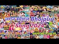 दिल लगाईब देवरवा से new Bhojpuri nonstop Bhojpuri song #Pramod Premi Yadav ke superhit nonstop 2024