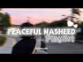Top Soul Healing Peaceful Nasheeds Playlist🎶🦋 | Best Papular Nasheeds Collection 2025🎧✨