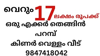 17 ലക്ഷം രൂപക്ക് 1എക്കർ തെങ്ങിൻ പറമ്പ് കിണർ വെള്ളം വീട് #lowbudget #palakkad #cocanut