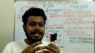 Phenol Chloroform extraction for DNA purification
