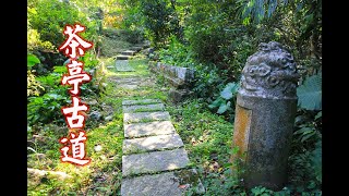 新竹橫山茶亭古道Ep.2(2021.10.28)