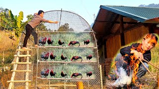 Phuong Vy herded cows and lit a fire to roast corn while her father finished the iron chicken coop.