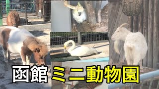 【散策】函館公園にあるミニ動物園に行ってみた！