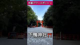 この動画を見たら奇跡【毎日神社参拝】神のお使い「カラス」が聞こえたら幸運✨