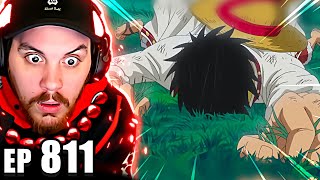 One Piece Episode 811 Reaction  Ill Wait Here Luffy Vs The Enraged Army