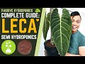 Complete Guide: How to Grow Plants in LECA & SEMI HYDROPONICS 💚 My Secrets (Basic Tips for Success)