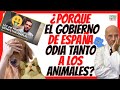 ⛔️ NEW ANIMAL WELFARE AND PROTECTION LAW 2022 ⛔️ IN SPAIN