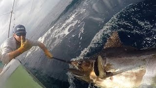 350lb Blue Marlin in Costa Rica !!!