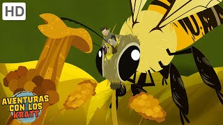 Aventuras con los Kratt | vuelo de los polinizadores | Episodio Completo | Temporada 1