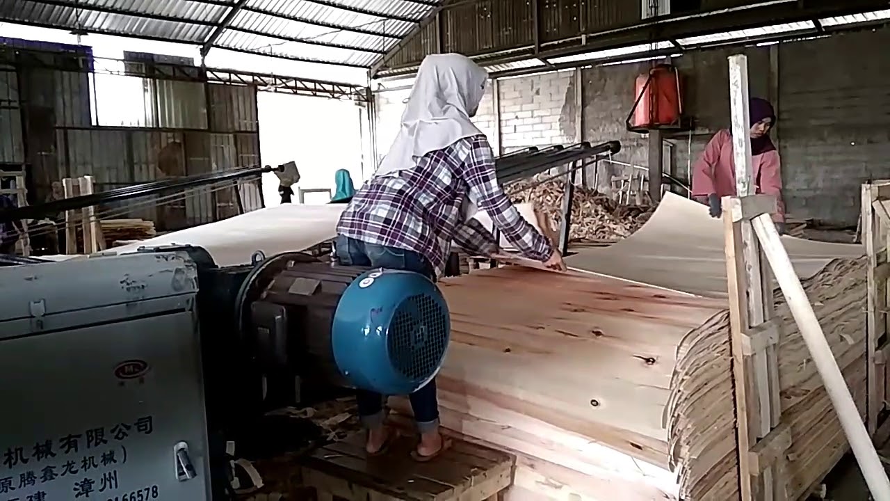 SATU-SATUNYA DI PEMALANG Pabrik Kayu Lapis Bahan Baku Triplek - YouTube