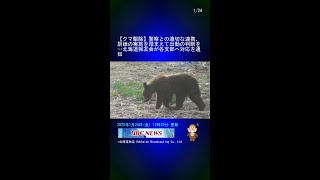 【クマ駆除】警察との適切な連携、訓練の実施を踏まえて出動の判断を…北海道猟友会が各支部へ対応を通知 #Shorts