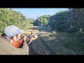 Blue Duiker Hunting with Hounds-Eastern Cape, South Africa (miss)