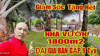 🛑Chủ Ngộp Giảm 2 Tỷ Cần Bán Nhà Vườn 1800m2 Có Vườn Cây Ao Cá Sân Vườn Tuyệt Đẹp | #nhadatsg