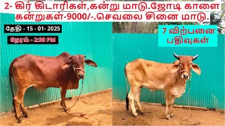 7-விற்பனை பதிவுகள்.2- கிர் கிடாரிகள்,கன்று மாடு.ஜோடி காளை கன்றுகள்-9000/-.செவலை சினை மாடு.