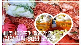 배추 100포기 깔끔한 맛 김장담그기 60년 경력 엄마의 노하우 / 부모님이 농사진 재료로 김장김치 담그기 vlog