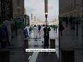 Beautiful Evening at #masjidnabawi  #saudiarabia ##trending #madina #umrah #travel #islam #hajj2024