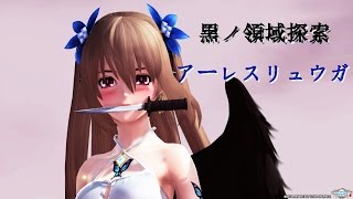 【PSO2】黒ノ領域探索(XH)Br/Huソロ アーレスリュウガでもついでに…