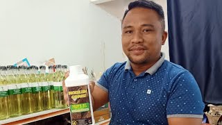 My agarwood journey in Malaysia (The results of Prove-N1 inoculum) |Strange Ford|09694689513