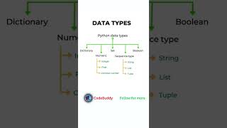 ✅ Python Data Types Explained in 1 Minute | Quick Guide for Beginners 🐍 #python #learnpython #pyth