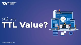 What is TTL Value? Discover the Answer Now!