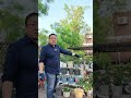 种百合其实挺简单的，看完就学会 garden plants gardentips