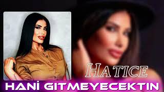 Hatice - Hani Gitmeyecektin (EZO Beat Remix)