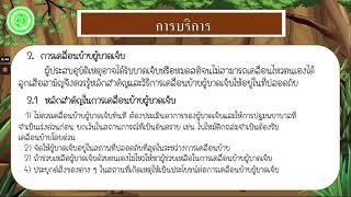 ป.6  วิชาลูกเสือสามัญ วันที่ 15 -19 พ.ย .64    Ep. 1