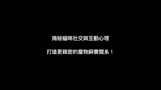 【養貓知識】揭秘貓咪社交與互動心理，打造更親密的寵物飼養關系！ #養貓知識 #養貓新手 #貓咪 ##subscribe