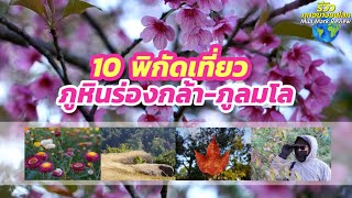 10 ที่เที่ยวภูหินร่องกล้า-ภูลมโล ซากุระเมืองไทย จ.พิษณุโลก