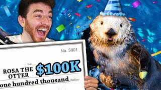 We raised $100,000 for a Sea Otter’s birthday