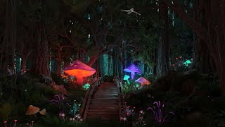 Enchanted Forest - Music & Ambience | Mystical Night Forest